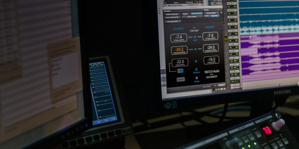Nugen Audio LM-Correct DynApt extension