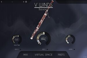 Acousticsamples VWinds Bassoon