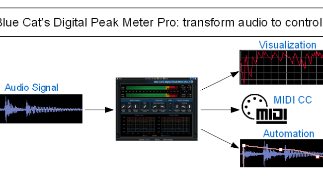 Blue Cat DP Meter Pro - Slika 2