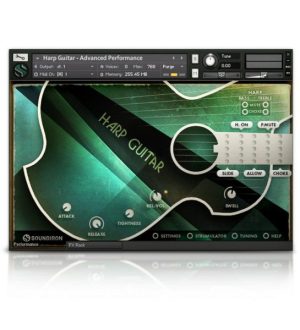 Brad Hoyt's Harp Guitar