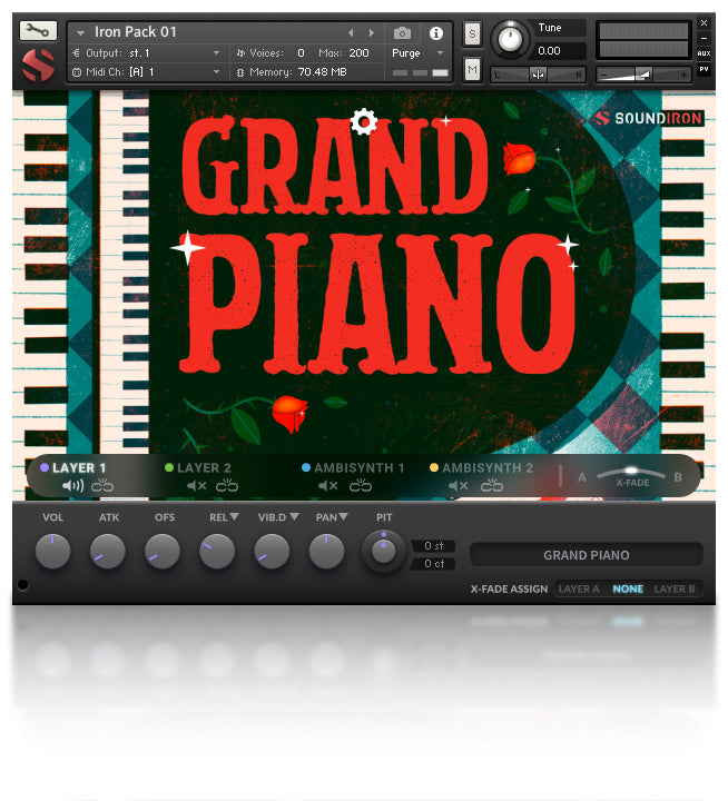 Iron Pack 1 - Grand Piano - Slika 2