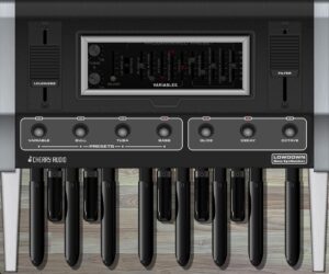 Lowdown Bass Synthesizer