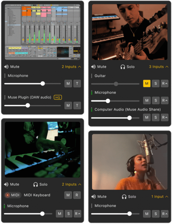 Muse Sessions Pro Unlimited - 1 Year - Slika 2