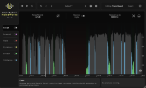 NoiseWorks VoiceAssist Advanced