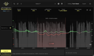 NoiseWorks VoiceAssist Basic