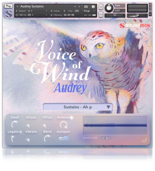 Voice of Wind: Audrey - Slika 2