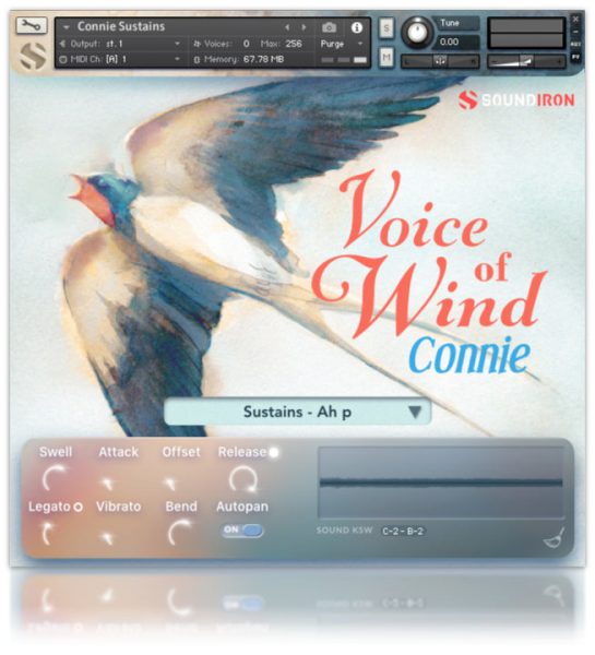 Voice of Wind: Connie - Slika 2
